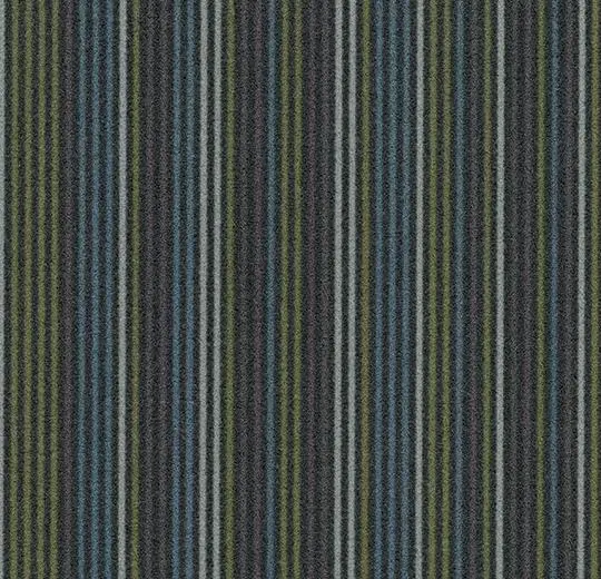 t550004 Complexity navy